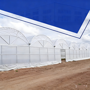 Serra a tunnel monospalla in film <span class=keywords><strong>PO</strong></span>/PE, ideale per la coltivazione di vari tipi di ortaggi, frutta e fiori - Product Image 5