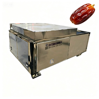 Fabriekslevering Dubbelbaans Dubbelrail 304 RVS Fruitontpitter met Motor voor Thuisgebruik 220V/380V