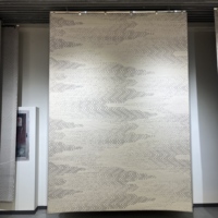 Tapis moderne grand format ODM OEM, résistant aux taches, lavable, pour salon, chambre, tapis de zone, adapté aux animaux domestiques, facile à nettoyer