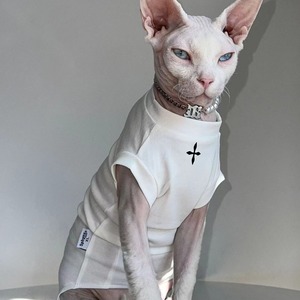 Devins High-End <span class=keywords><strong>Sin</strong></span> mangas Poliéster Gato y perro Ropa <span class=keywords><strong>para</strong></span> mascotas Patrón sólido Todas las estaciones Gato Sphynx <span class=keywords><strong>sin</strong></span> <span class=keywords><strong>pelo</strong></span> - Product Image 3