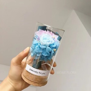 Festival san valentino bottiglia di <span class=keywords><strong>auguri</strong></span> di <span class=keywords><strong>compleanno</strong></span> rosa colorata scatola regalo all'ingrosso conservato fiore naturale <span class=keywords><strong>per</strong></span> il regalo della festa della mamma - Product Image 2