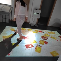 Plancher de danse interactif à LED de haute qualité et au meilleur prix
