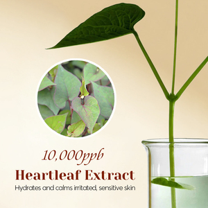 <span class=keywords><strong>Limpiador</strong></span> <span class=keywords><strong>Facial</strong></span> Coreano <span class=keywords><strong>Natural</strong></span> Heartleaf de Limpieza Profunda, <span class=keywords><strong>Aceite</strong></span> Desmaquillante para Piel Propensa al Acné - Product Image 2