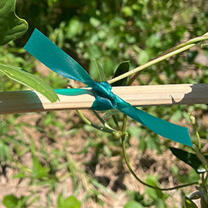 Ruban de ligature extérieur réutilisable 1''*150ft*6mil, le plus vendu, souple et durable, pour vignes et tomates - Product Image 3