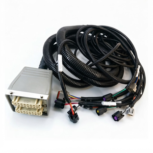 Rangkaian Kabel Khusus, Kabel Otomotif OEM untuk Peralatan Industri dan Kendaraan Listrik, Rangkaian Kabel Berpelindung Tegangan Tinggi - Product Image 2
