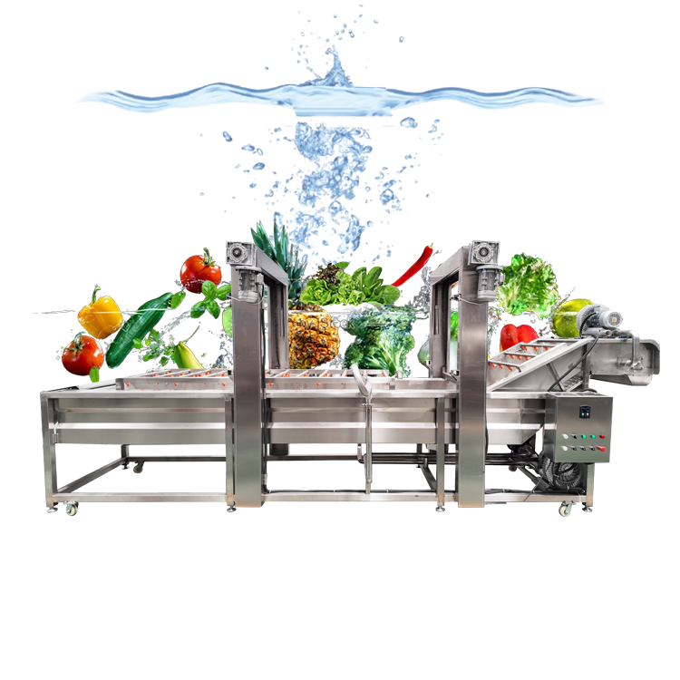 Conveyor Speed Adjustable Fruit and Vegetable