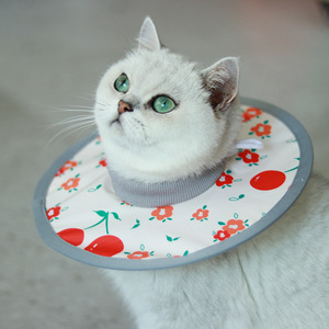Collier de protection élégant et luxueux <span class=keywords><strong>pour</strong></span> chiens et chats, imperméable, <span class=keywords><strong>pour</strong></span> la récupération post-opératoire, empêche de lécher et de gratter - Product Image 4