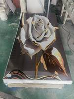 Film de transfert thermique d'impression 3D 5D Film de décoration de panneau mural en PVC Feuille de presse sous vide pour panneau mural WPC Panneau UV