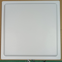 Lector RFID UHF de Largo Alcance Resistente al Agua IP65 de 10m 15m para Control de Acceso de Vehículos