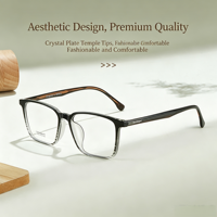 7326 Desain Estetika Retro yang Santai, dengan Tekstur Unggulan. Pilih Bingkai Kacamata TR+Acetate Berkualitas Tinggi