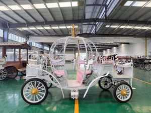 Chariot de princesse haut de gamme en forme de citrouille pour enfants, idéal pour les sites touristiques, les hôtels et les réceptions de mariage - Product Image 2