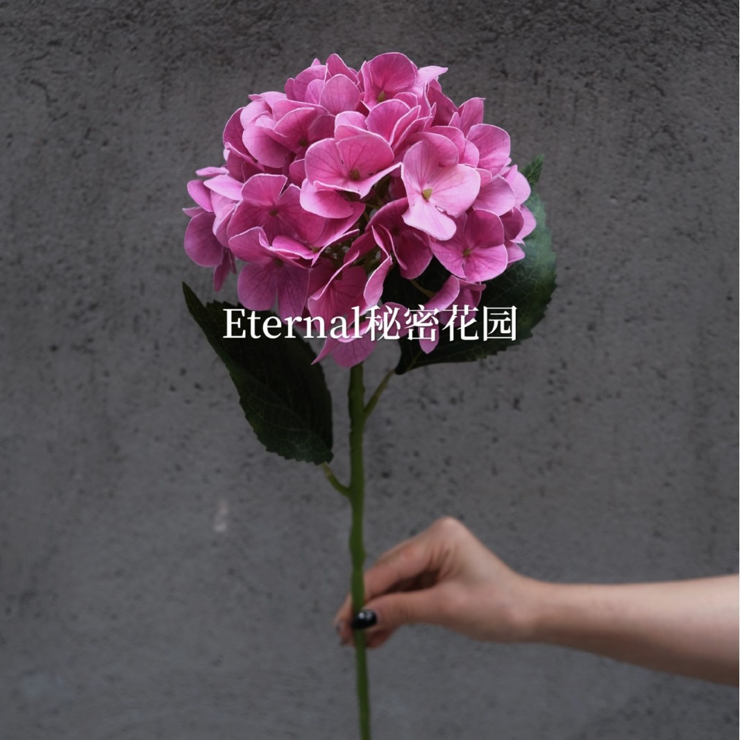3DHydrangea rose Rouge (version sans feuilles)