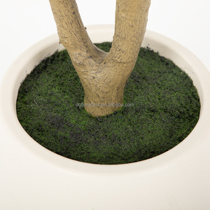 Albero di <span class=keywords><strong>Ulivo</strong></span> Artificiale in Plastica da 2,1 m con Frutti Realistici, Tronco Naturale, Vaso <span class=keywords><strong>Bianco</strong></span> Resistente per Decorazione Interna Casa/Ufficio - Product Image 6