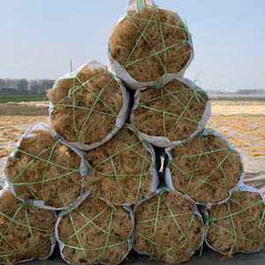 Hot Sale Premium Natural <strong>Sea</strong> <strong>Moss</strong> Top Rated Fresh Dried Seaweed <strong>Sea</strong> <strong>Moss</strong> - Product Image 3