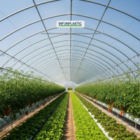 Film de serre PE avec protection UV pour la plantation, 5 ans, anti-goutte, anti-buée, pour tunnel polyvalent, culture de tomates
