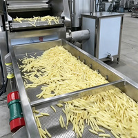 Productielijn voor snelgevroren frieten op maat, capaciteit 100-3000 kg/uur, volautomatisch, prijs