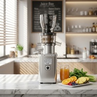 Commerciële slowjuicer, koudgeperste fruit- en groentesapcentrifuge, sapseparatiemachine voor groothandel