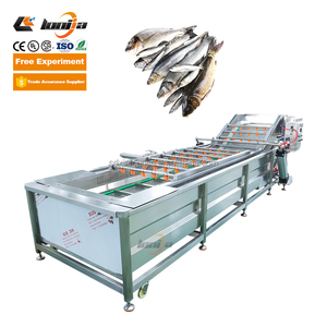 Máquina Industrial para Limpiar Pescado, Camarones y Ostras, Lavadora de Tambor con Rodillos, Limpiador de Mariscos con Burbujas, Línea de Lavado de Mariscos - Product Image 6
