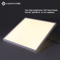 LUCKYSTAR Plafonnier LED Rectangulaire Moderne 22W à Montage en Saillie avec Cadre en Métal Acrylique Température de Couleur 2700K/4000K/6500K pour