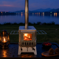 Poêle de tente portable à bois en gros avec cheminée, porte en verre métallique brossé, grilles pliantes, équipement de cuisson pour le camping