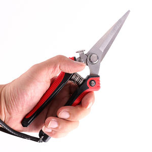 Vendita calda da giardino in acciaio inox - Product Image 4