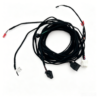Harnais de câblage automobile électrique personnalisé certifié IATF 16949 pour voitures électriques/hybrides