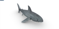 Logo personnalisé annonçant des requins gonflables de décoration extérieure de vente chaude gonflable