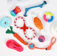 Lot de 9 jouets de luxe pour chiots, jouets à mâcher pour la dentition des petits chiens, balles en peluche mignonnes qui couinent, jouets interactifs en corde, ensemble de jeu durable pour l'entraînement dentaire