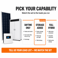 Système d'alimentation solaire hors réseau, alternative au générateur diesel, ensemble complet avec panneaux, stockage et onduleur pour la sauvegarde de l'alimentation domestique