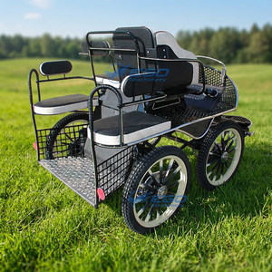 Chariot de transport spécial pour chevaux, chariot de poney, mini-voiture à chevaux, chariot touristique pour visites guidées - Product Image 1