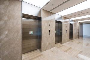 Elevador de pasajeros de accionamiento hidráulico profesional FUJI para uso en exteriores de villas, diseño moderno, elevador residencial comercial económico - Product Image 5