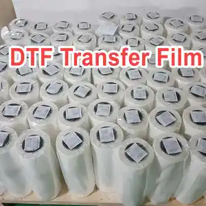 Cowint 30CM100M rol Film dtf, alat cetak Transfer panas rol Film Transfer hewan peliharaan DTF lepas dua sisi