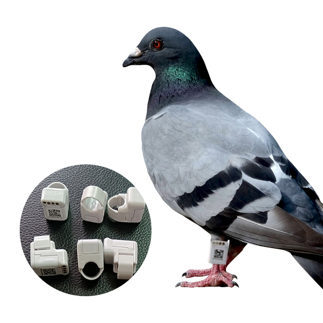 Small Bird Gps tracker Gps Pigeon Tracking Foot Ring for Pigeon Racing Training Gps  Para  Pajaros