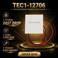 Pendingin Termoelektrik ANLING TES1-04902 Modul Peltier 20x20x4.0mm 5V 2A Pelat Pendingin