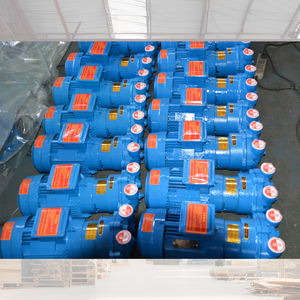 2bv5111 Einstufige Wassersirkulation-Ring-Vakuumpumpe Geräuscharme Flüssigkeits-Ring-Vakuumpumpe - Product Image 4