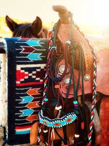 Hochwertiges Verstellbares Weiches Seilhalfter Gebisslose Zäumung Hackamore Pferdehalfter mit Diamant-Paracord-Umwicklung Geflochtenes Pferdehalfter - Product Image 2