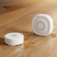 Application de protection domestique, alerte en temps réel, système d'alarme de fuite d'eau Zigbee WiFi, capteur de fuite intelligent sans fil