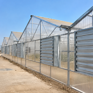 Commercial Multi-Span PC Polycarbonate <b>Greenhouse</b> with Galvanized Steel Frame <b>for</b> High-Yield Vegetable Farming - Product Image 1