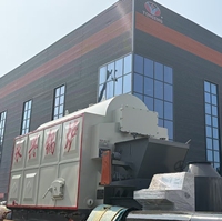 Chaudière à vapeur industrielle à faibles émissions DZL à montage rapide pour la production en usine alimentaire et textile
