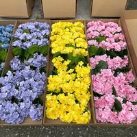 Fleurs d'hortensias artificielles en gros pour mariage, hortensias en latex pour décoration d'hôtel