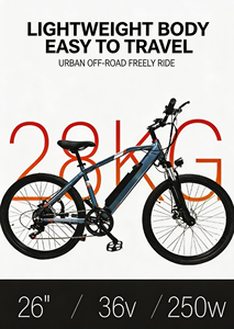Bicicleta Eléctrica con Neumáticos Anchos, Tres Modos de Conducción, para Caminos Suburbanos y Todoterreno, Venta Especial OEM ODM - Product Image 4