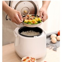 Cuisinière à riz multifonctionnelle à double tension 12v 24V, cuiseur à riz portable avec cuve antiadhésive, adapté aux voyages en plein air