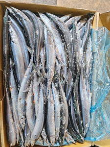 Sanma Saury Japonés Congelado para Ingredientes <span class=keywords><strong>de</strong></span> Restaurantes <span class=keywords><strong>de</strong></span> Sushi, Suministro OEM a Granel, Congelación Rápida - Product Image 4