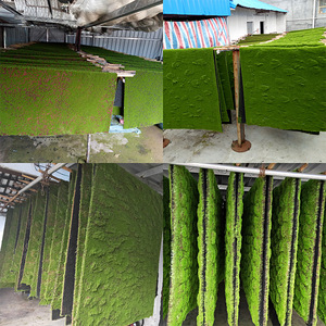 ELSY-12 <span class=keywords><strong>creeper</strong></span> haie de buis vert feuilles mousse mur art plante artificielle panneaux <span class=keywords><strong>3d</strong></span> mousse herbe mur pour la décoration - Product Image 5