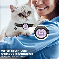 Collier pour chat en nylon réfléchissant avec clochette et support AirTag, idéal pour les promenades en extérieur et le suivi anti-perte – Meilleure vente