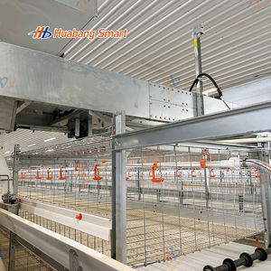 Cage à poulets de type H pour l'élimination du fumier à chaîne de traction avec ventilation efficace pour poulailler de style fermé - Product Image 3