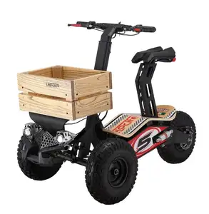 Velocifero MAD TRUCK EEC Neues Offroad E Motorrad Golf 2000W 60V 20Ah 3 Rad Elektro roller mit Anhänger EEC