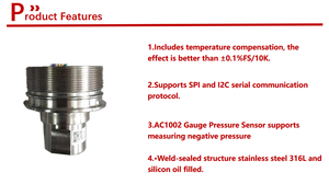 Capteur différentiel haute pression 0,05 % avec compensation de température en silicium monocristallin - Product Image 3