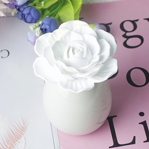 100ml chai thủy tinh làm bằng tay sứ hoa thơm gốm thơm thạch cao làm mát không khí nhà hương thơm tinh dầu khuếch tán - Product Image 3