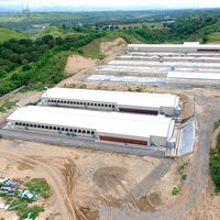 Sistema de Granja Avícola de Estructura de Acero Prefabricada Completamente Automática, Sistema de Cría de Pollos de Engorde de Alta Calidad, Avicultura a Gran Escala
